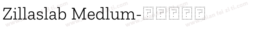 Zillaslab Medlum字体转换